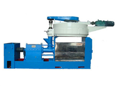 México 300 kg/h máquina de prensa de aceite de maní nuez de karité