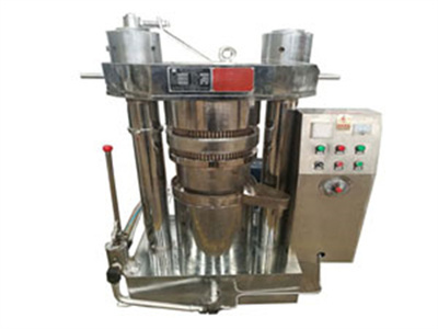Máquina profesional de prensa de aceite de semillas de palmiste de México